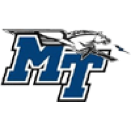 中田纳西州立